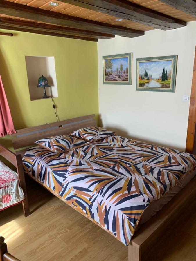 Appartement Style Rustique Urbès Esterno foto